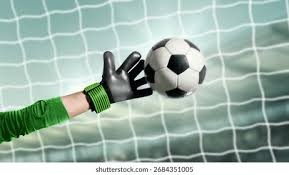 电讯报：弗莱彻的战术安排显著放大了谢什科